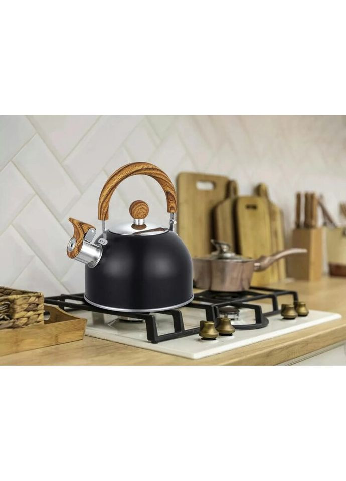 Чайник із свистком Геракл GT-1416-15 1.5 л Gusto (271550591)