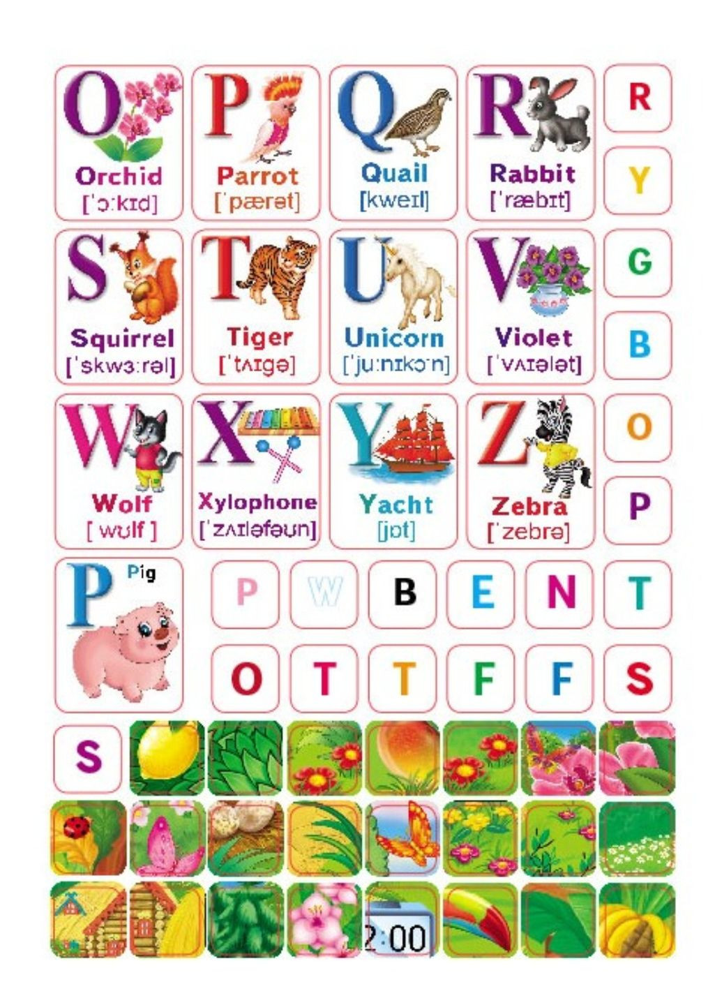 Розвивальна розмальовка English. 93 наліпки і 3D-модель Пегас (271666620)