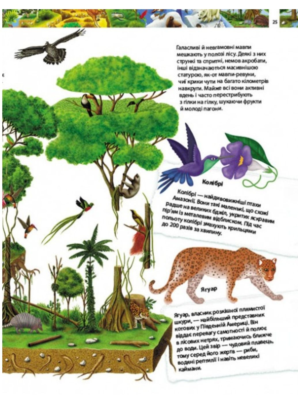 Дитяча енциклопедія. Дивовижний світ тварин Пегас (272598619)