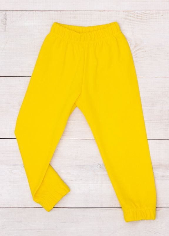 Желтые повседневный демисезонные джоггеры брюки Носи своє