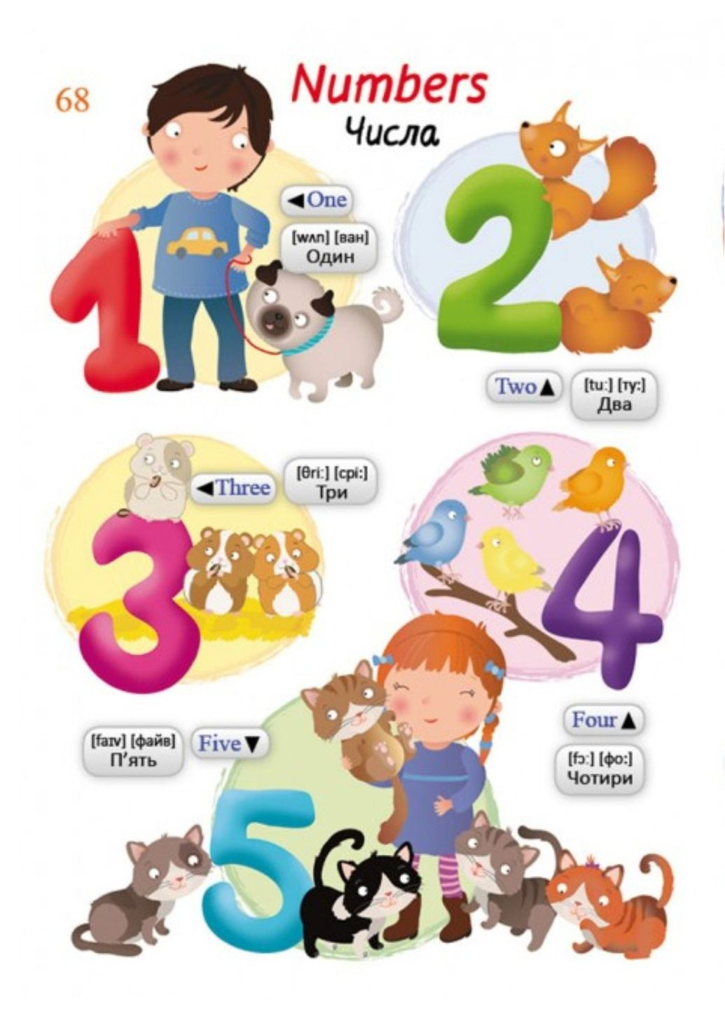 Иллюстрированный словарь ENGLISH. Интересный мир Пегас (274060342)