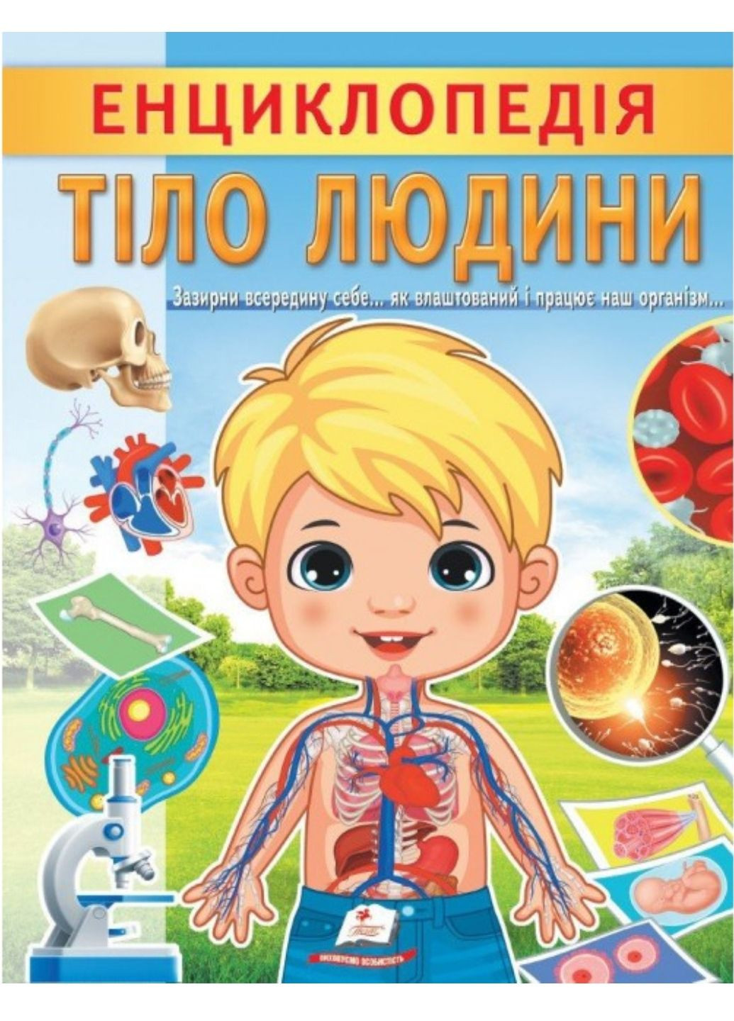 Энциклопедия Тело человека. Уникальные факты, интересная информация о человеке Пегас (274060358)