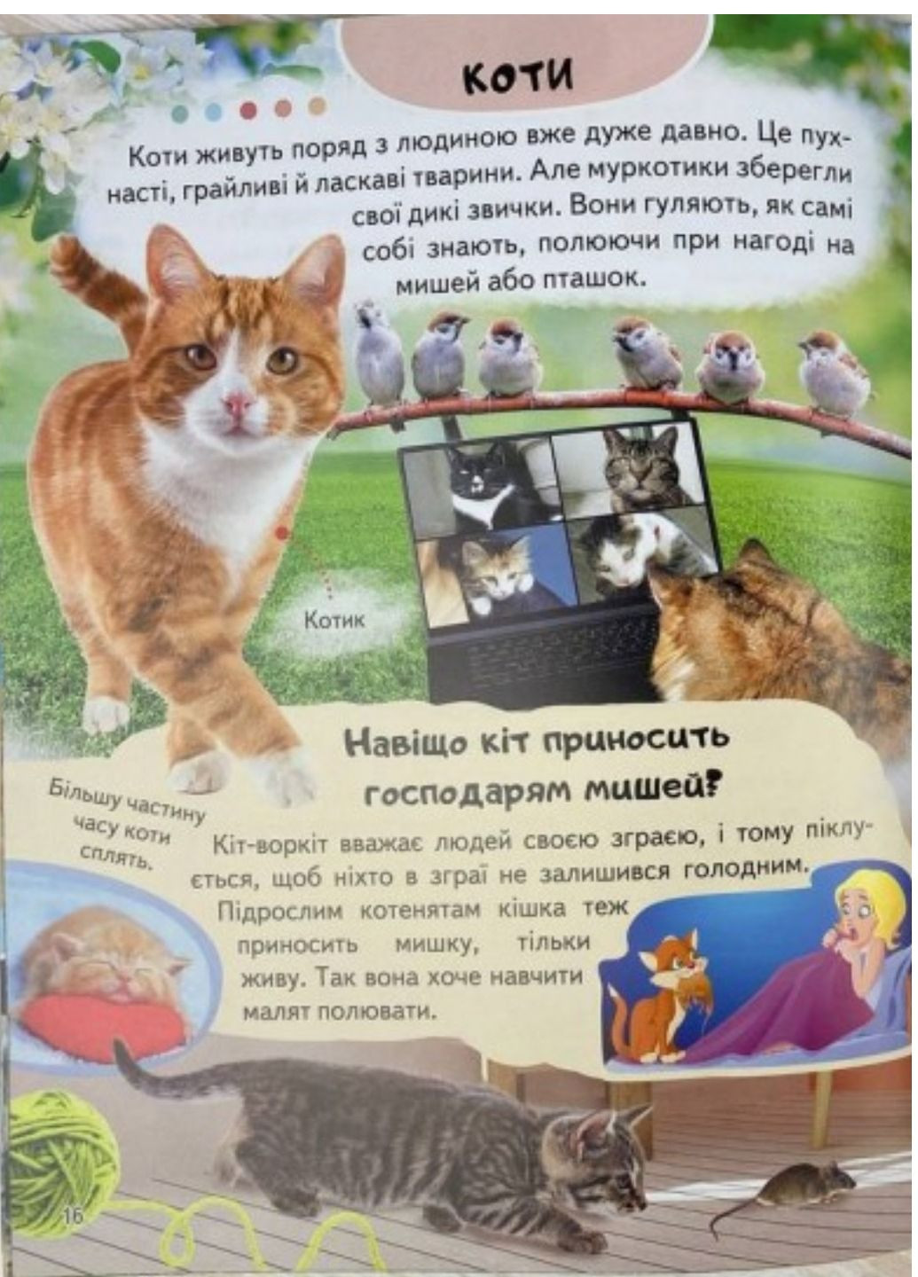 Цікава енциклопедія у подарунок розумійкам. Набір з 4 книг Пегас (274060335)