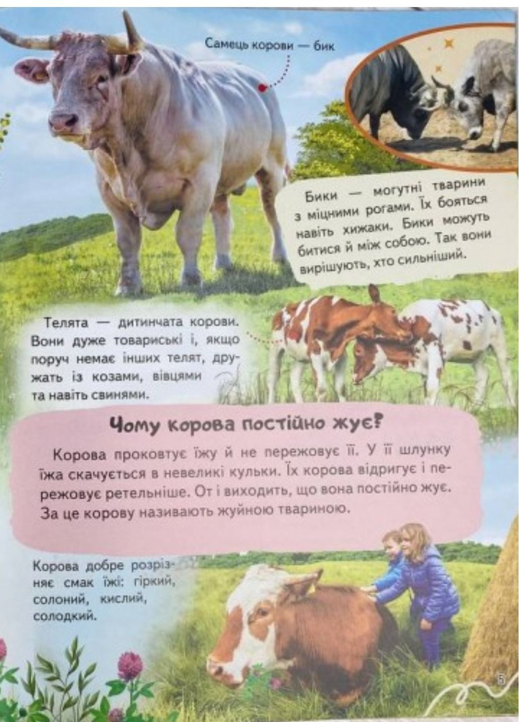 Енциклопедія Ферма. Унікальні факти, цікава інформація про домашніх тварин Пегас (274060336)