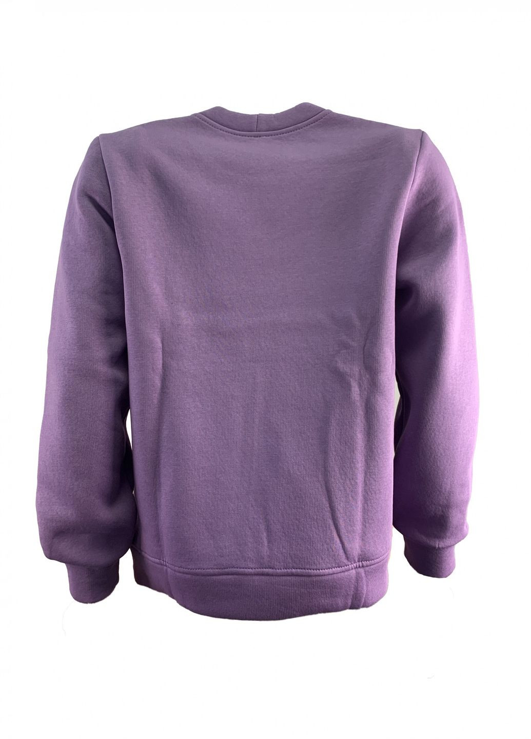 Лавандовий світшот жін. міла тринитка з начосом лаванда принт півник роз.s 4PROFI (275096526)