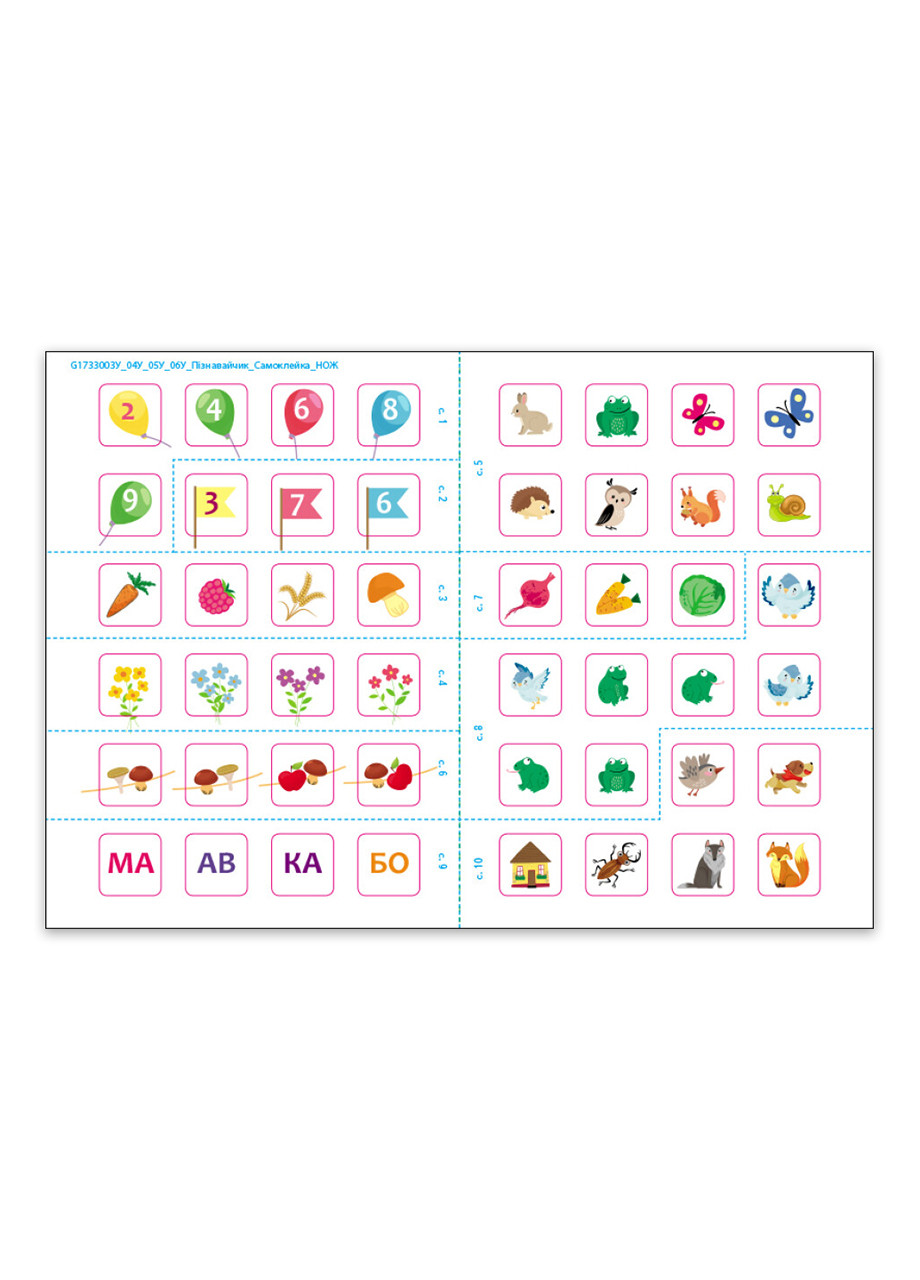 Книга Пізнавайчик. Учуся з ведмедиком Тверда Обкладинка Автор Сіліч Світлана (9786170985064) РАНОК (276253713)