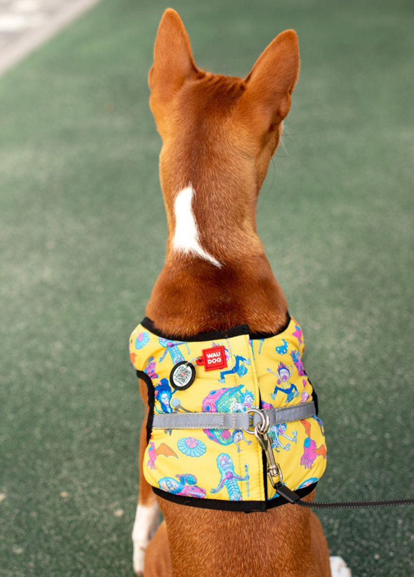 Шлея для собак м'яка Clothes з QR-паспортом"Рік та Морті 3", S1 B 40-45 см, C 29-31 см WAUDOG (276387053)