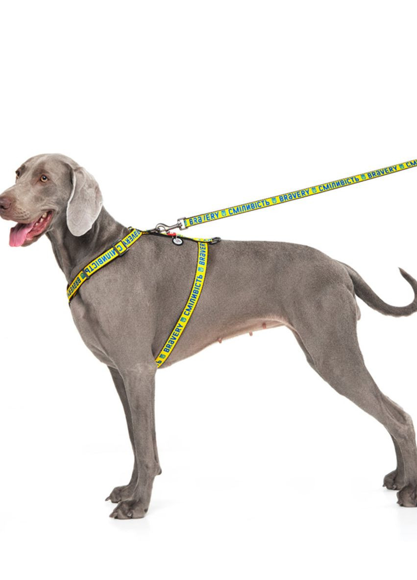Шлей для собак анатомический H-образный Nylon с QR-паспортом "Смелость", L, Ш 25 мм, А 50-90, В 60-100 WAUDOG (276387451)