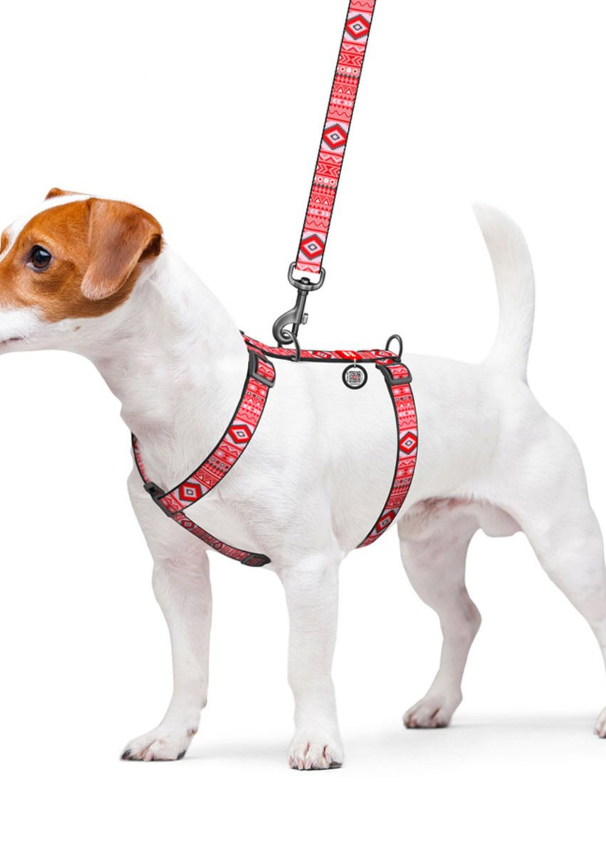 Шлей для собак анатомический H-образный Nylon с QR-паспортом "Этно красный", S, Ш 15 мм, A 30-40, B 30-50 WAUDOG (276387513)