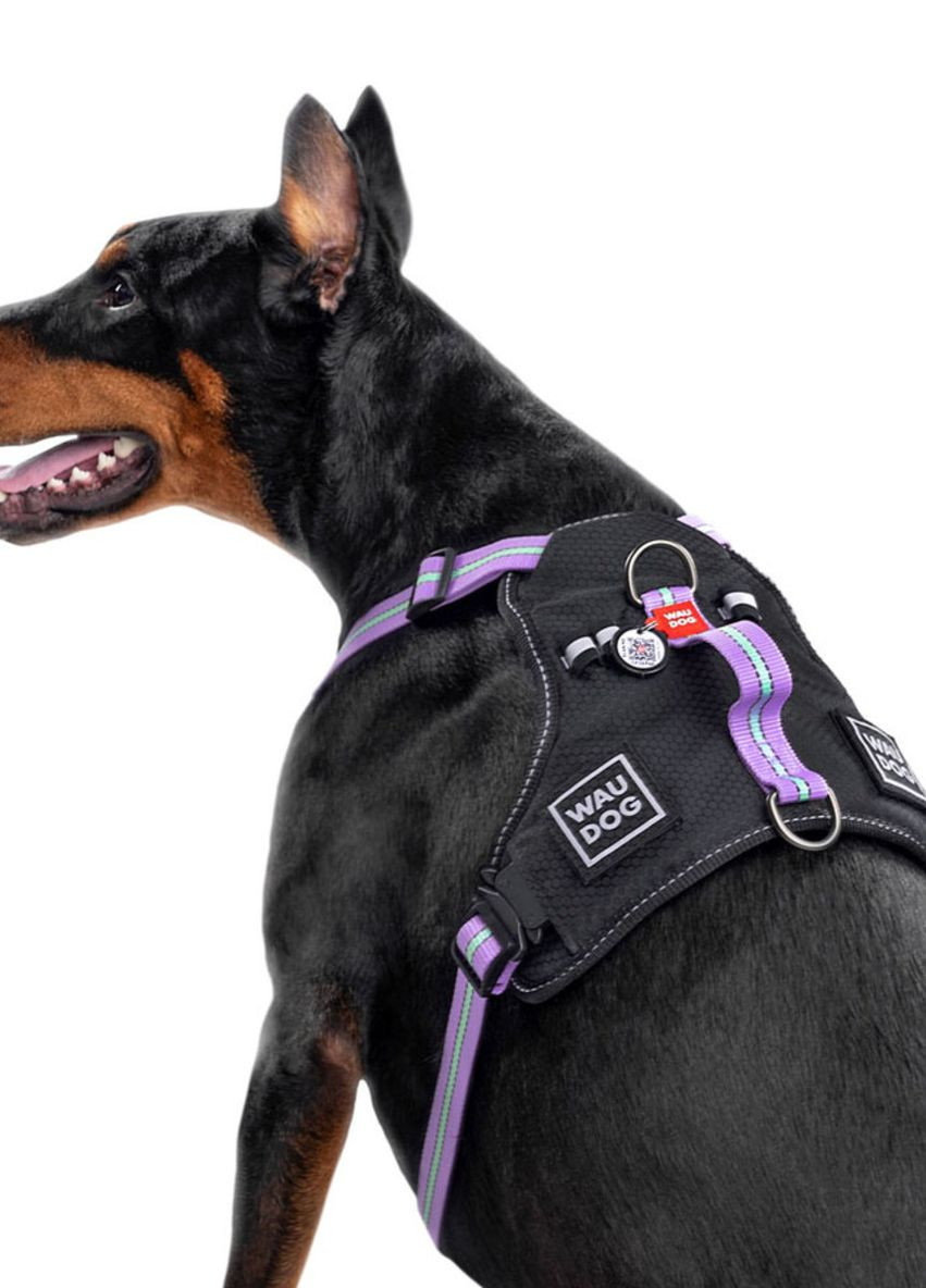 Шлея для собак безпечна Nylon з QR паспортом, металічна пряжка-фастекс, M, Ш 20 мм, А 45-70 см, В 60-80 см фіолетовий WAUDOG (276387101)