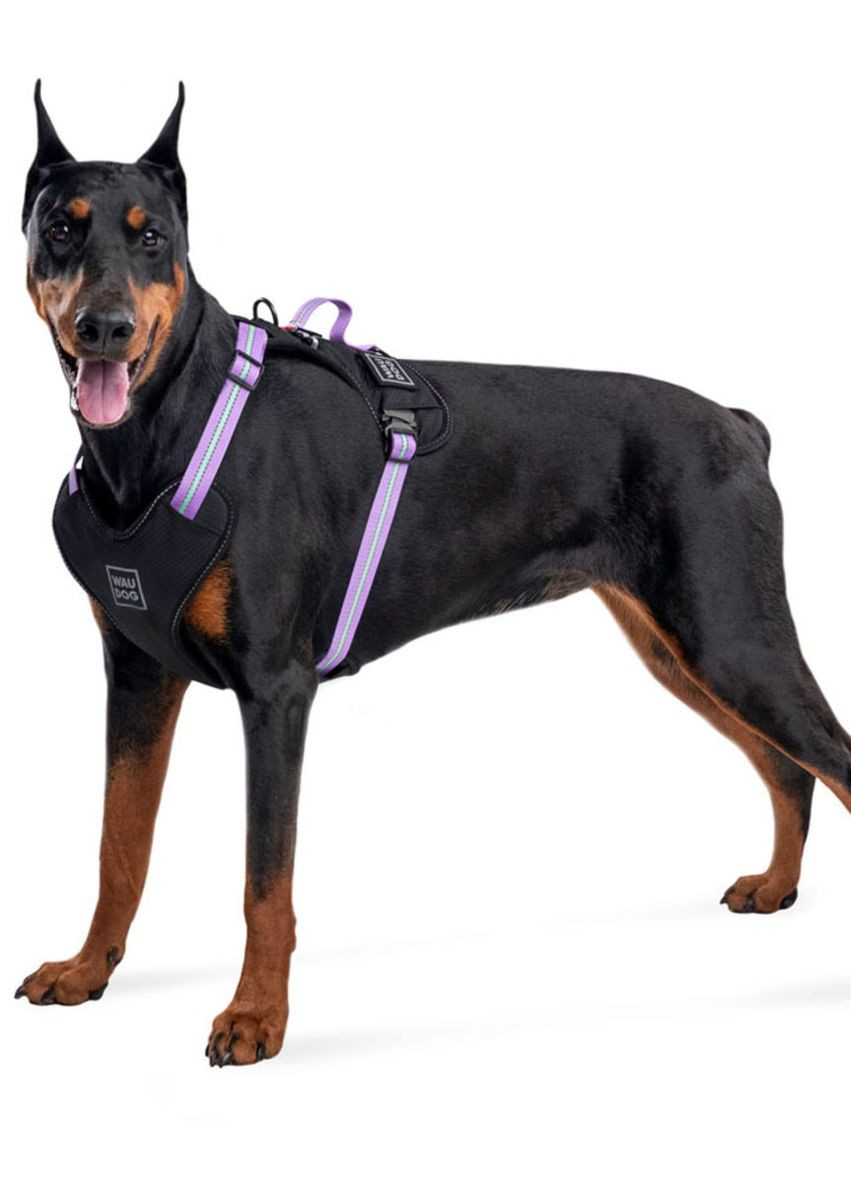 Шлея для собак безпечна Nylon з QR паспортом, металічна пряжка-фастекс, M, Ш 20 мм, А 45-70 см, В 60-80 см фіолетовий WAUDOG (276387101)