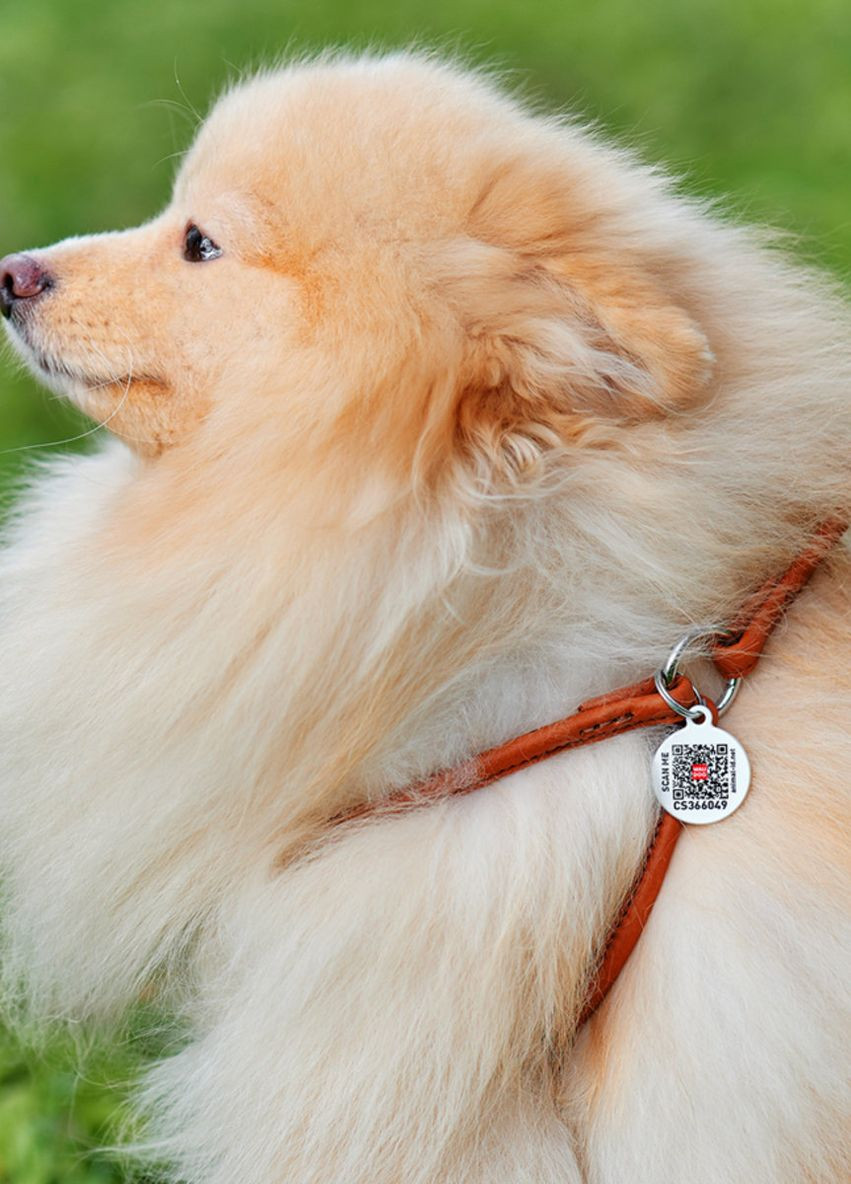 Шлей с поводком для собак кожаный Soft с QR паспортом, круглый, Д 6 мм, А 26-46 см, В 30-50 см коричневый WAUDOG (276387545)