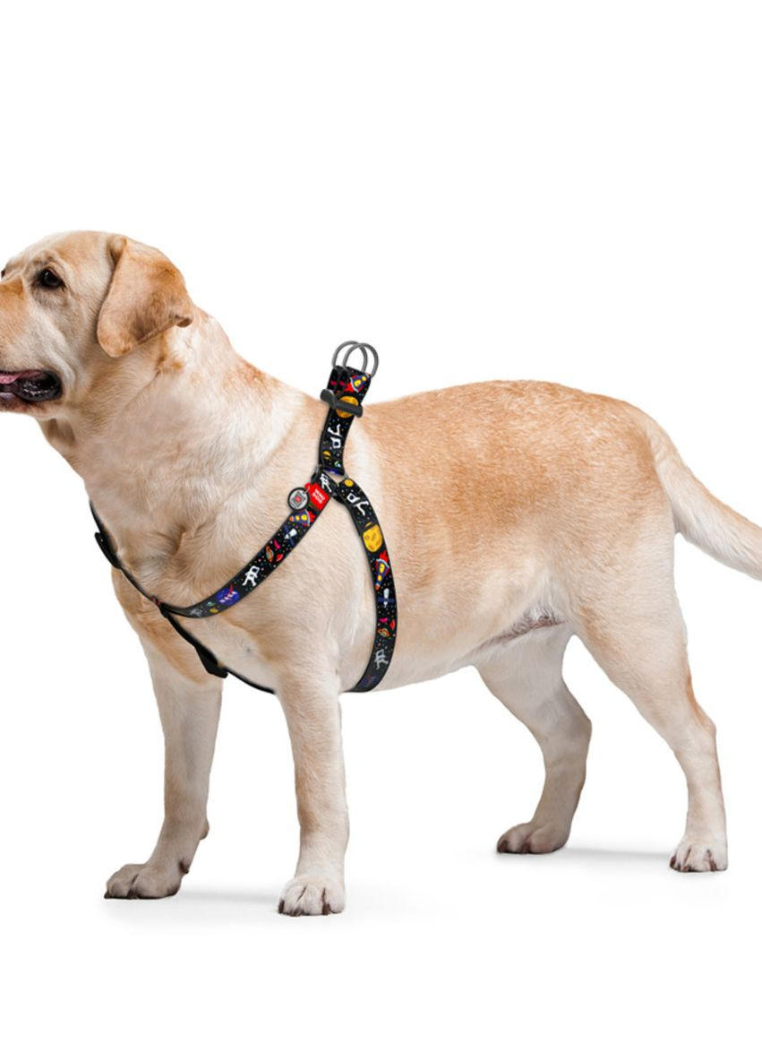 Шлей для собак Nylon с QR паспортом "NASA", Ш 20 мм, Длин 50-80 см WAUDOG (276387516)
