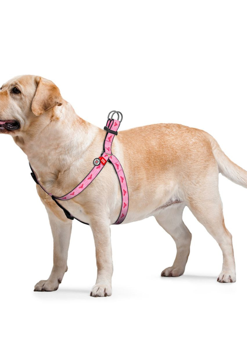 Шлей для собак Nylon с QR паспортом "Чудо-женщина 1", Ш 20 мм, Длин 50-80 см WAUDOG (276387586)