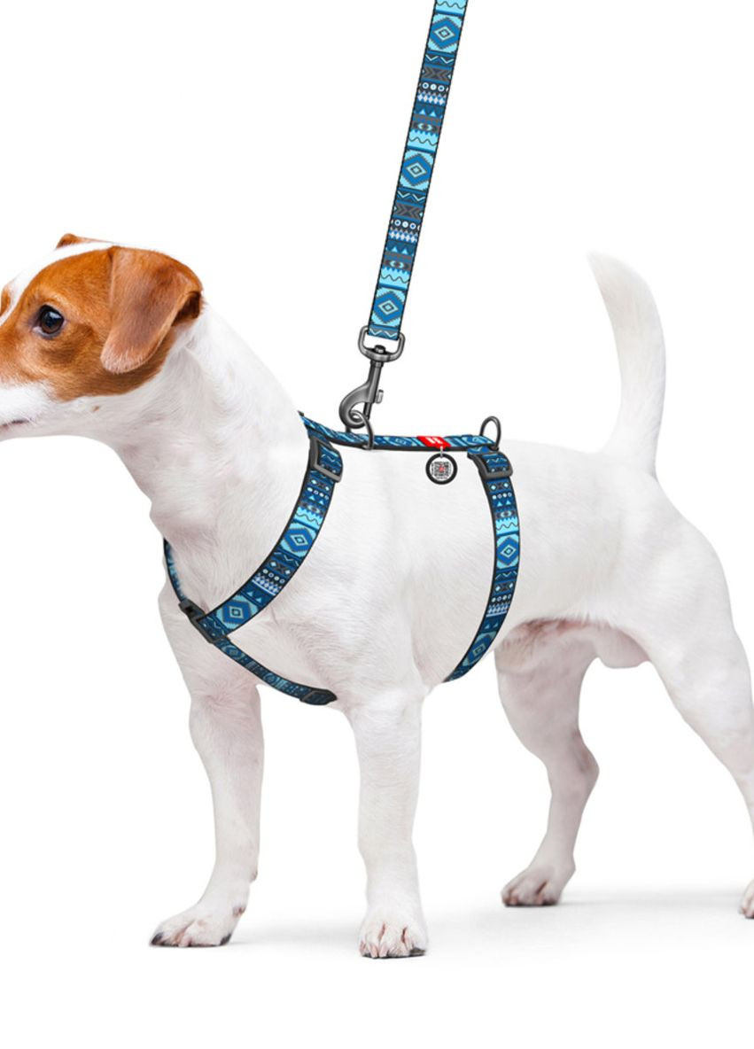 Шлея для собак анатомічна H-подібна Nylon з QR-паспортом"Етно синій", S, Ш 15 мм, A 30-40, B 30-50 WAUDOG (276387568)