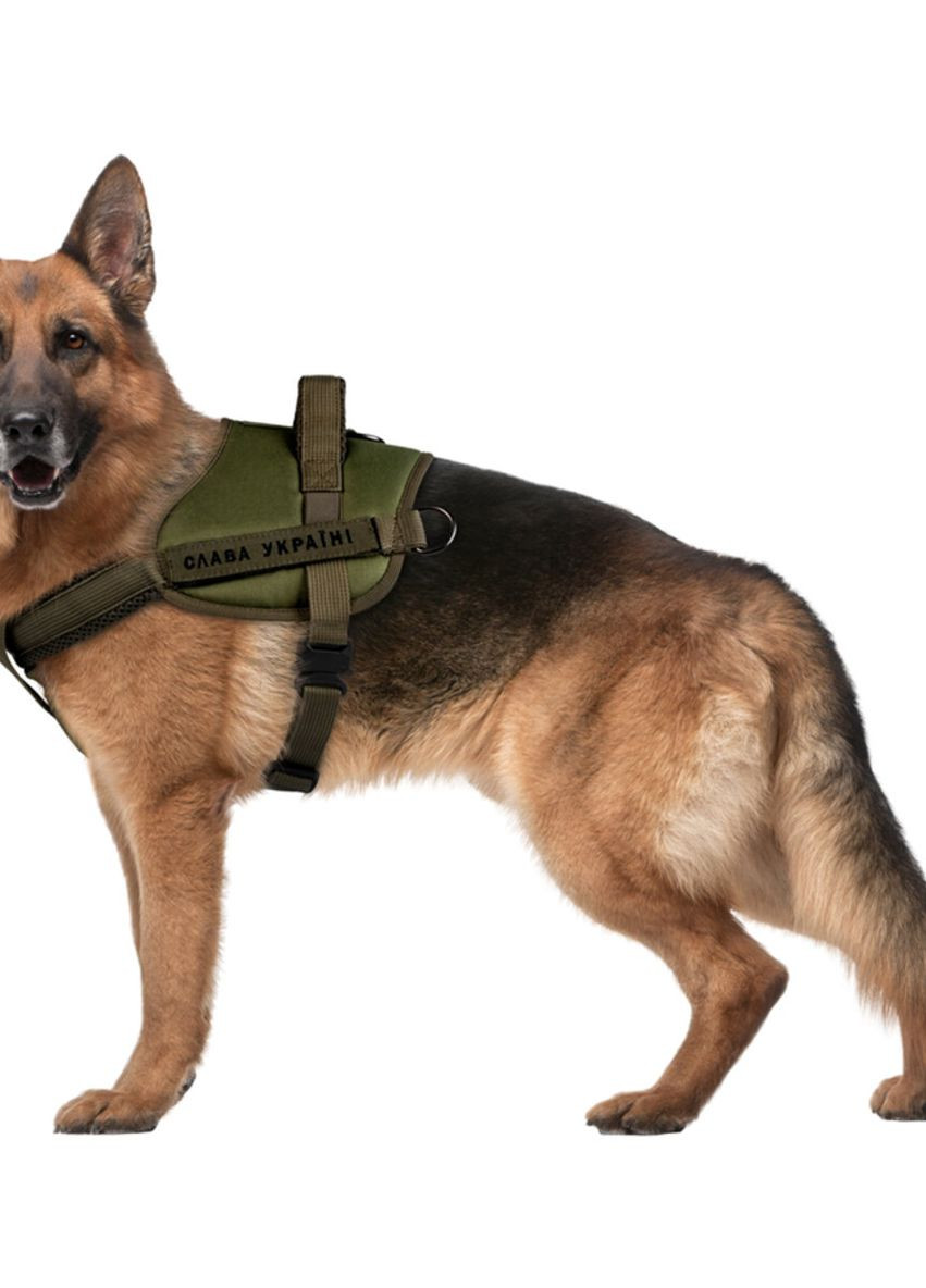 Шлей для служебных собак PRO, металлический фастекс, S, В 44-60 см, хаки WAUDOG (276387128)