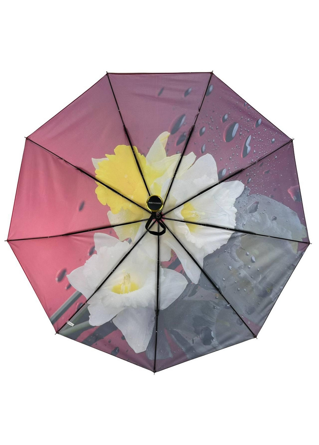 Женский зонт автомат Rain (276392028)