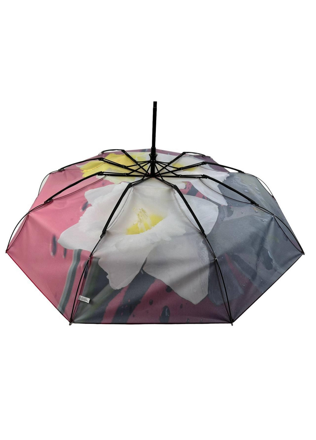 Женский зонт автомат Rain (276392028)