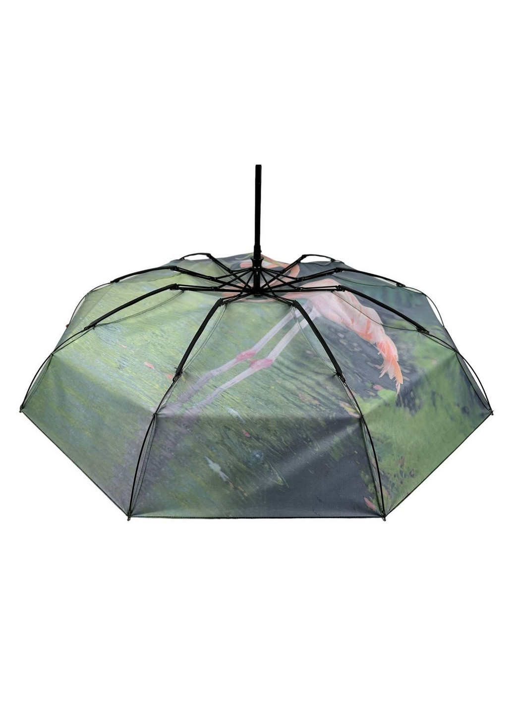 Женский зонт автомат Rain (276392014)