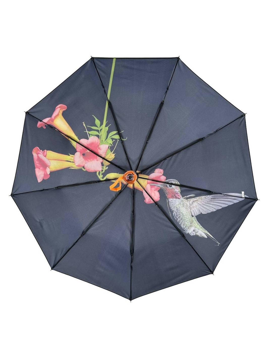 Женский зонт автомат Rain (276392016)