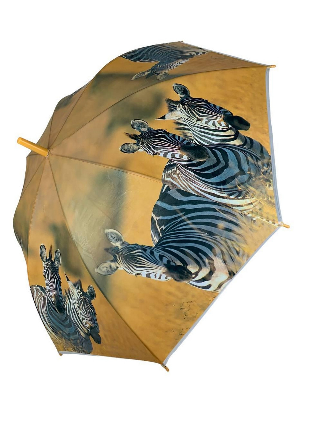 Жіноча парасолька тростина Swift (276392276)