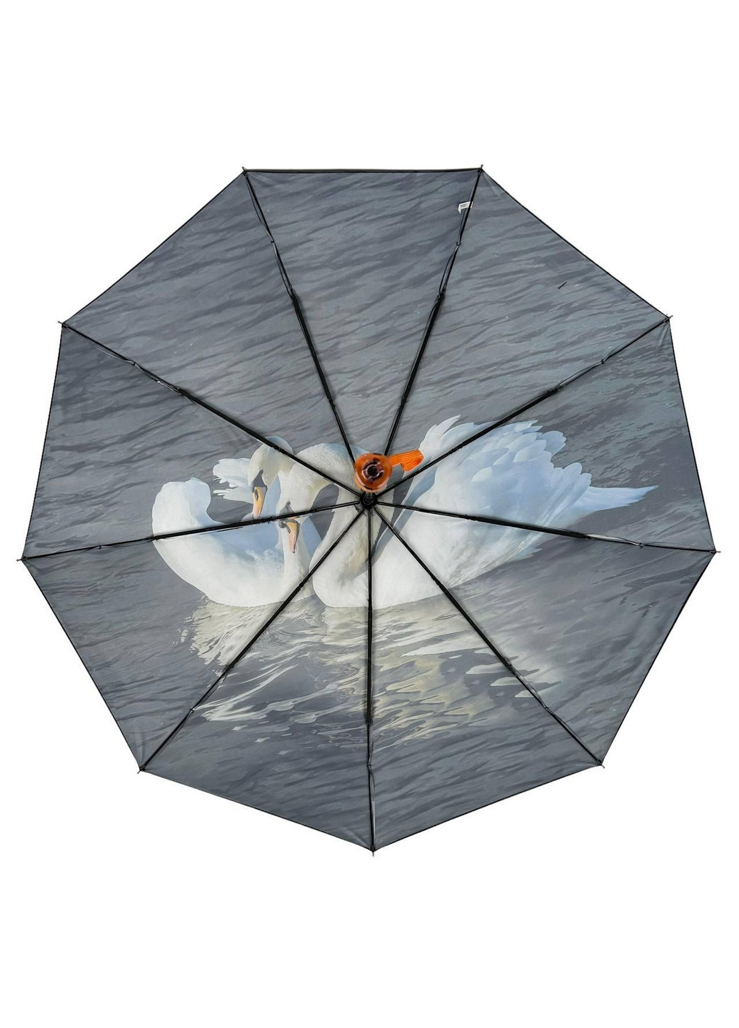Женский зонт автомат Rain (276392004)