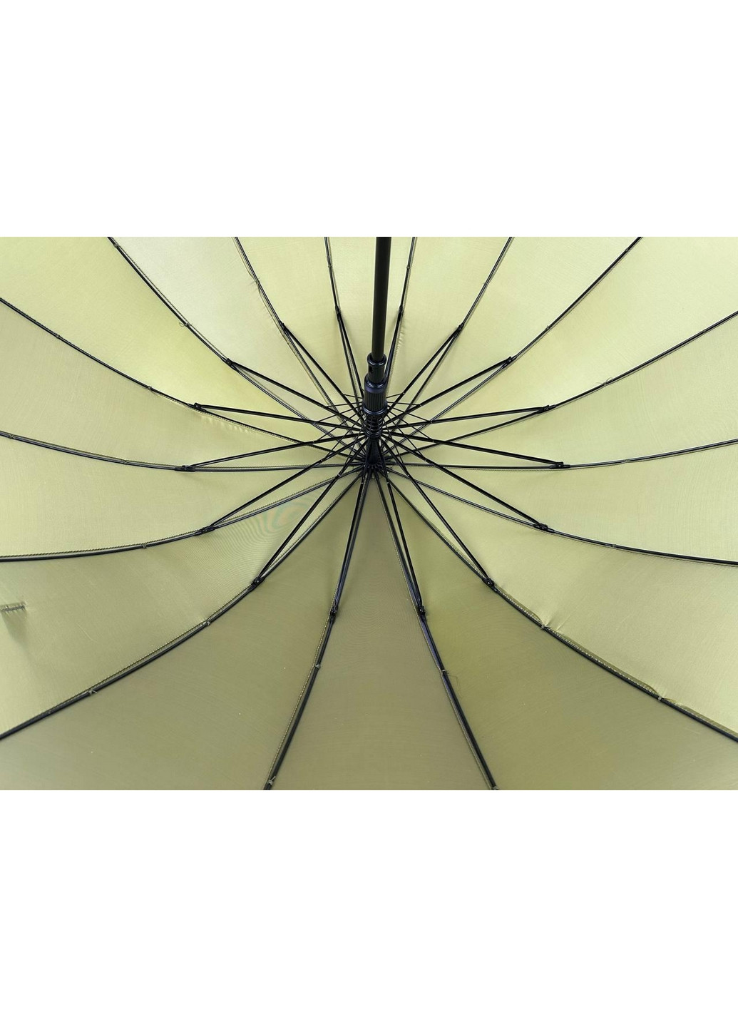 Жіноча парасолька тростина Toprain (276392169)