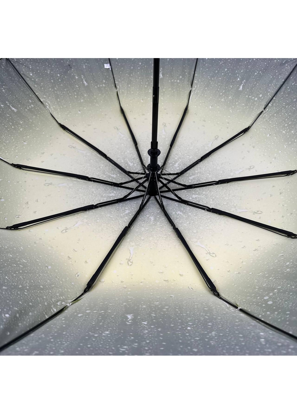 Салатовый женский зонт полуавтомат Bellissima (276392057)