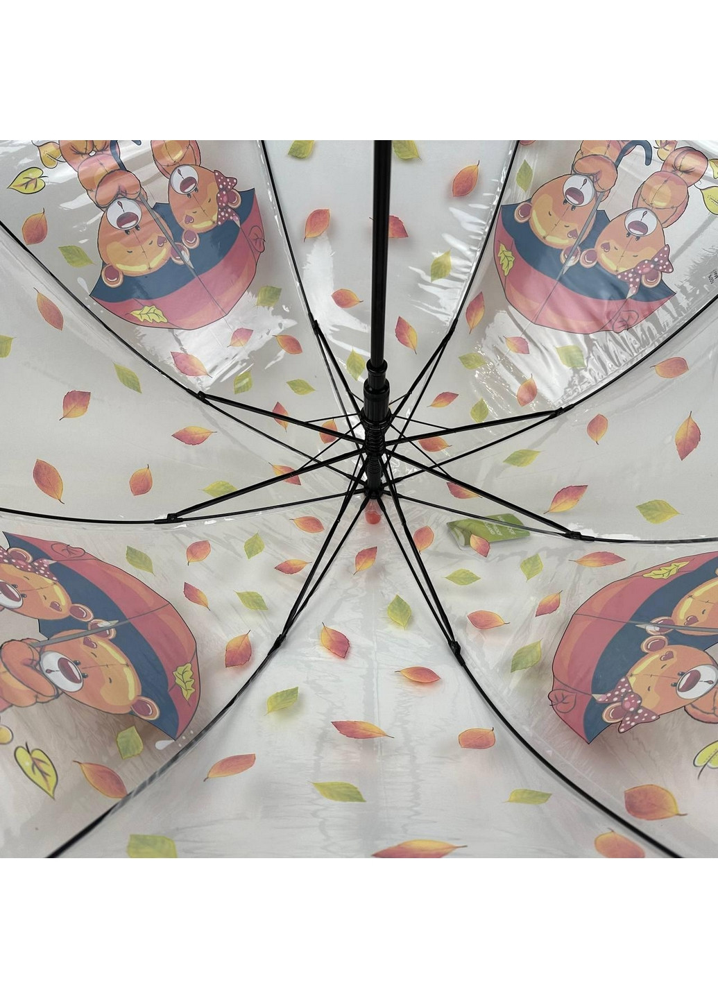 Дитяча прозора парасолька тростина напівавтомат Rain (276391997)