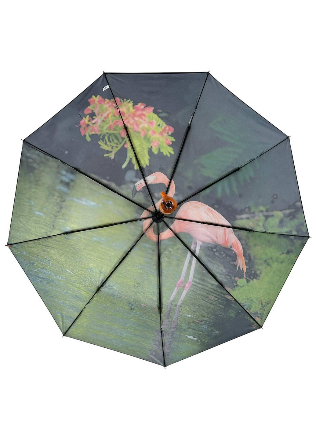 Женский зонт автомат Rain (276392404)