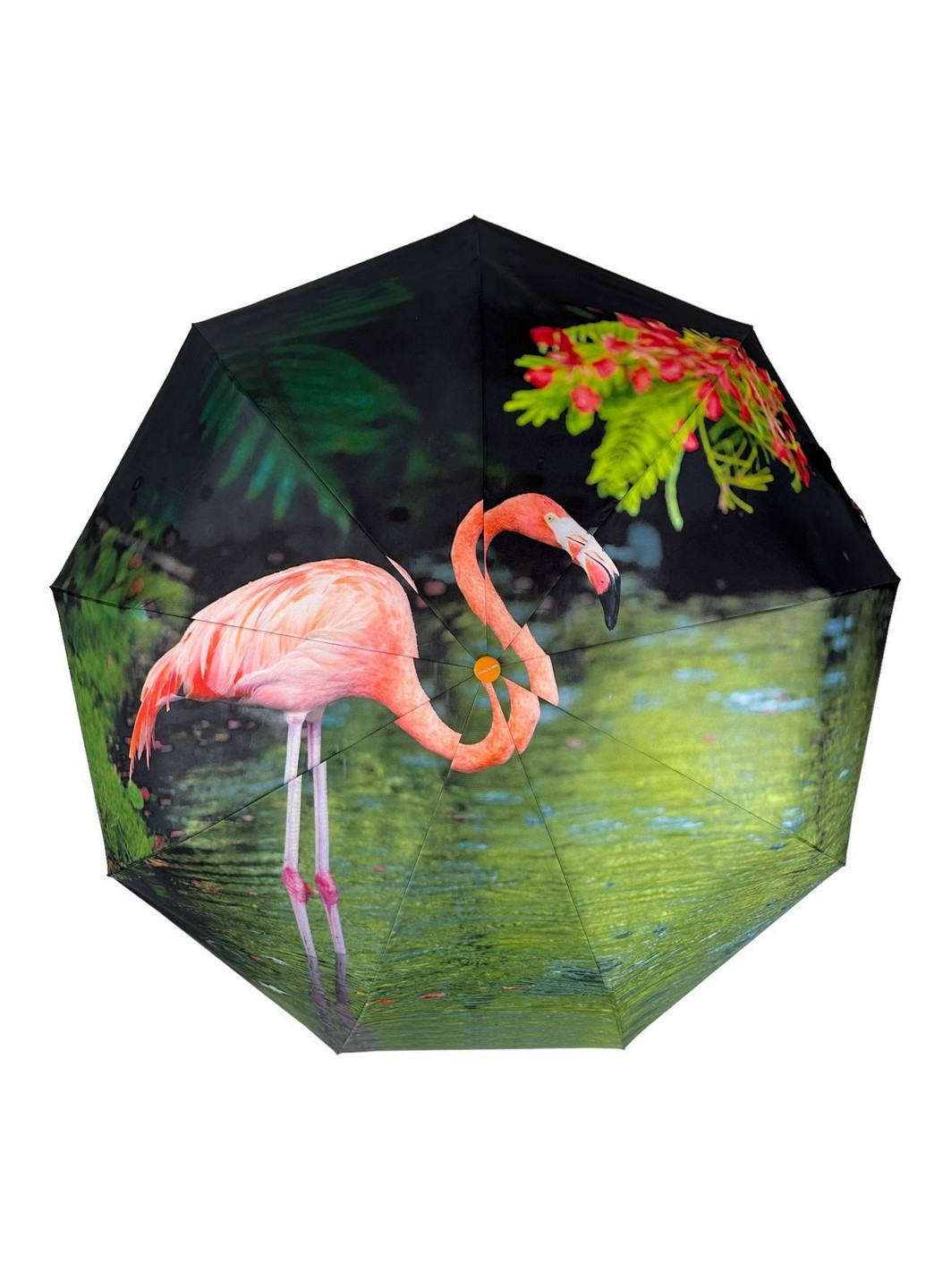 Жіноча парасолька автомат Rain (276392404)