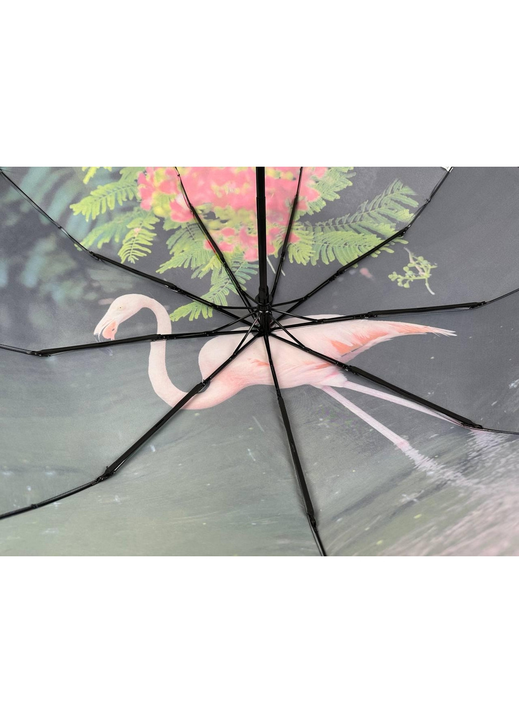 Женский зонт автомат Rain (276392404)