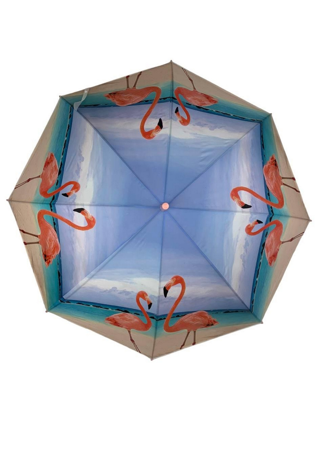 Жіноча парасолька тростина Swift (276392672)