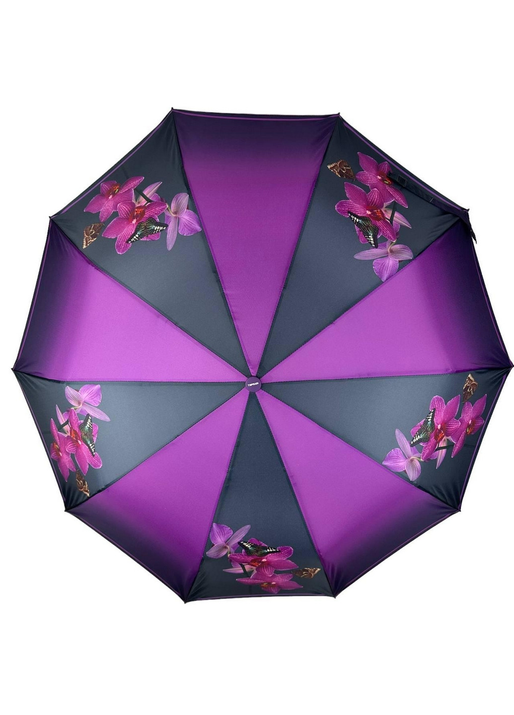 Жіноча парасоля напівавтомат Toprain (276392633)
