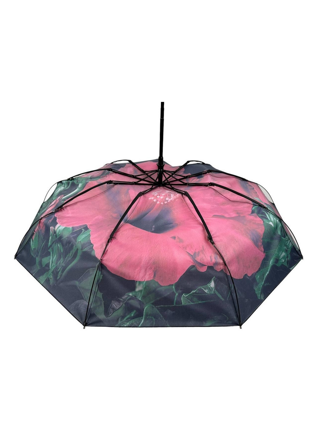 Жіноча парасолька автомат Rain (276392390)