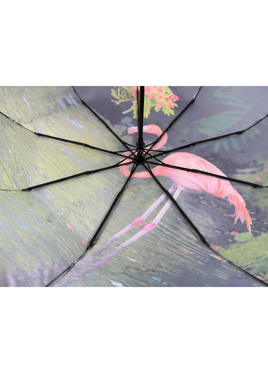 Женский зонт автомат Rain (276392403)