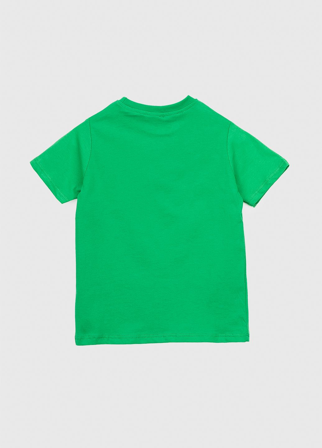 Зеленая летняя футболка Dassi