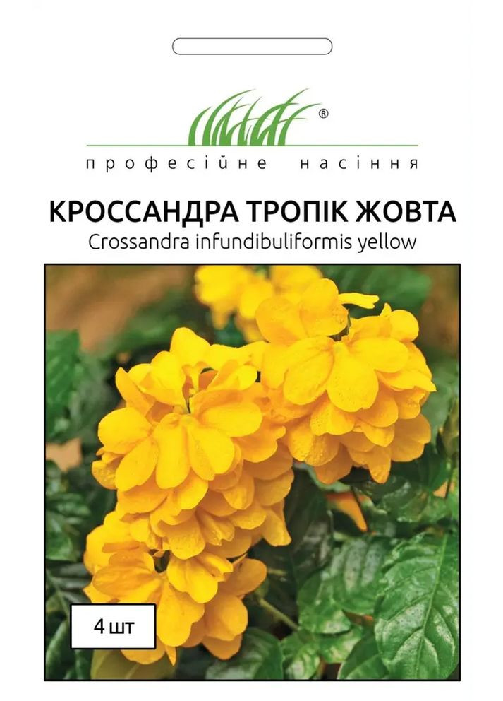 Семена Кроссандра Тропик желтая 4 шт Професійне насіння (276906519)