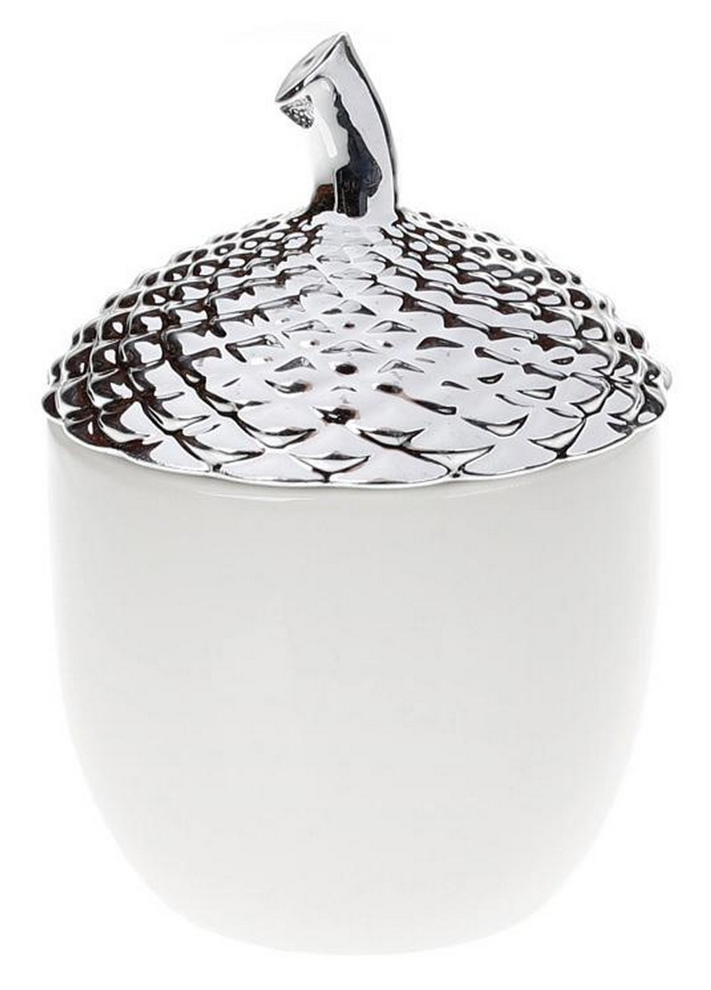 Банку керамічна "Сріблястий жолудь" Bona (276984727)