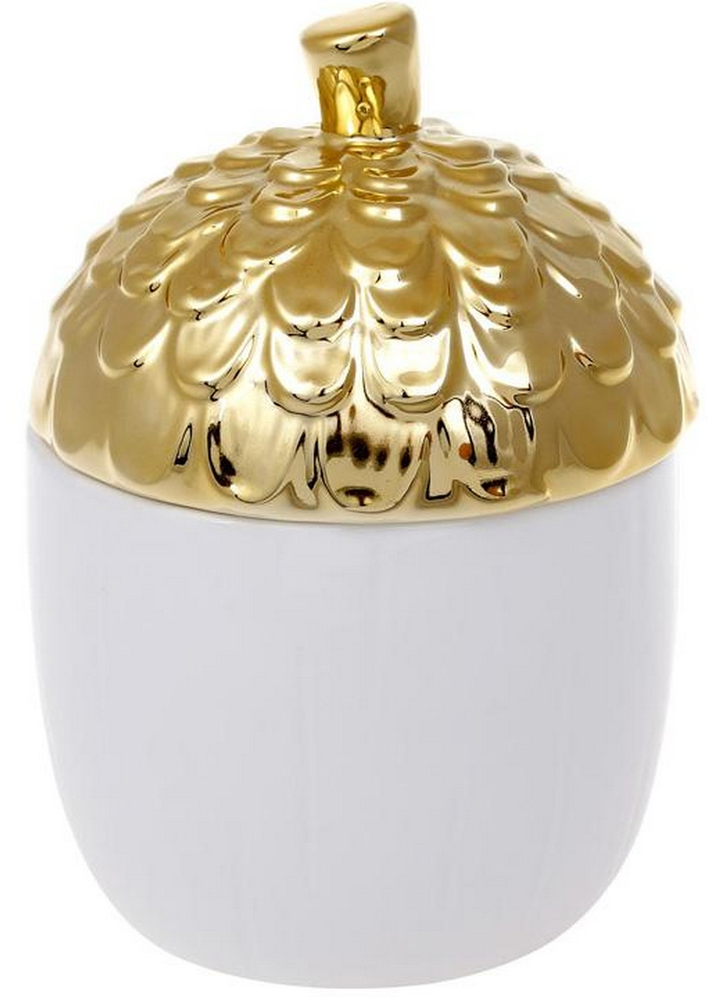 Банку керамічна "Золотий Жолудь" Bona (276983774)