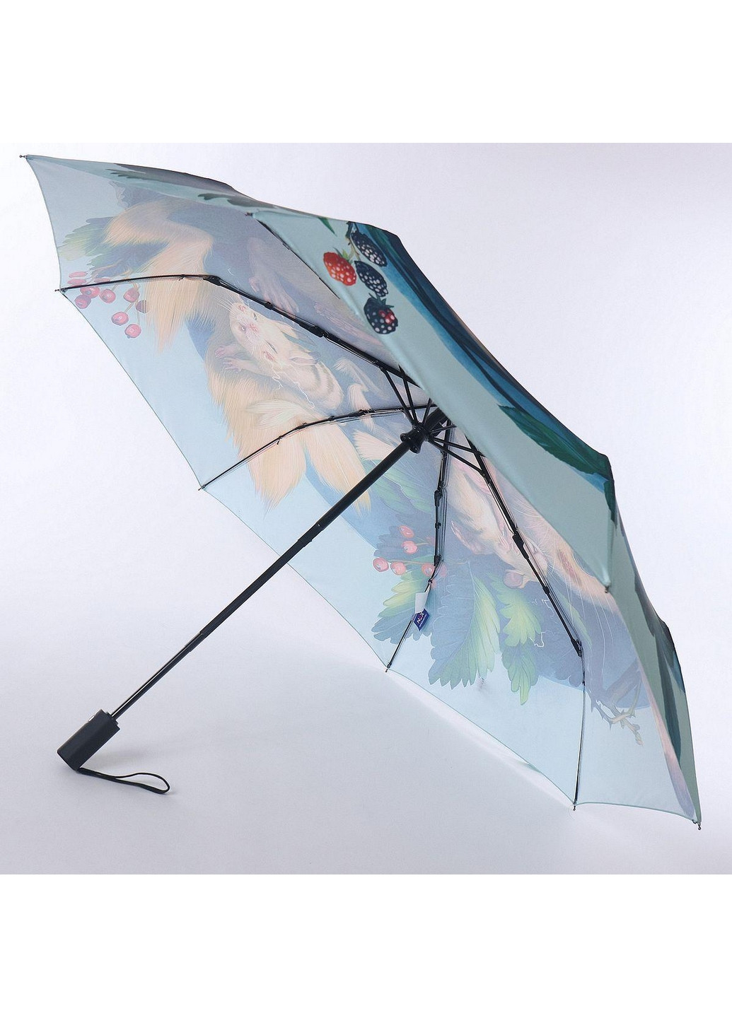 Жіноча парасолька автомат NEX (276982723)