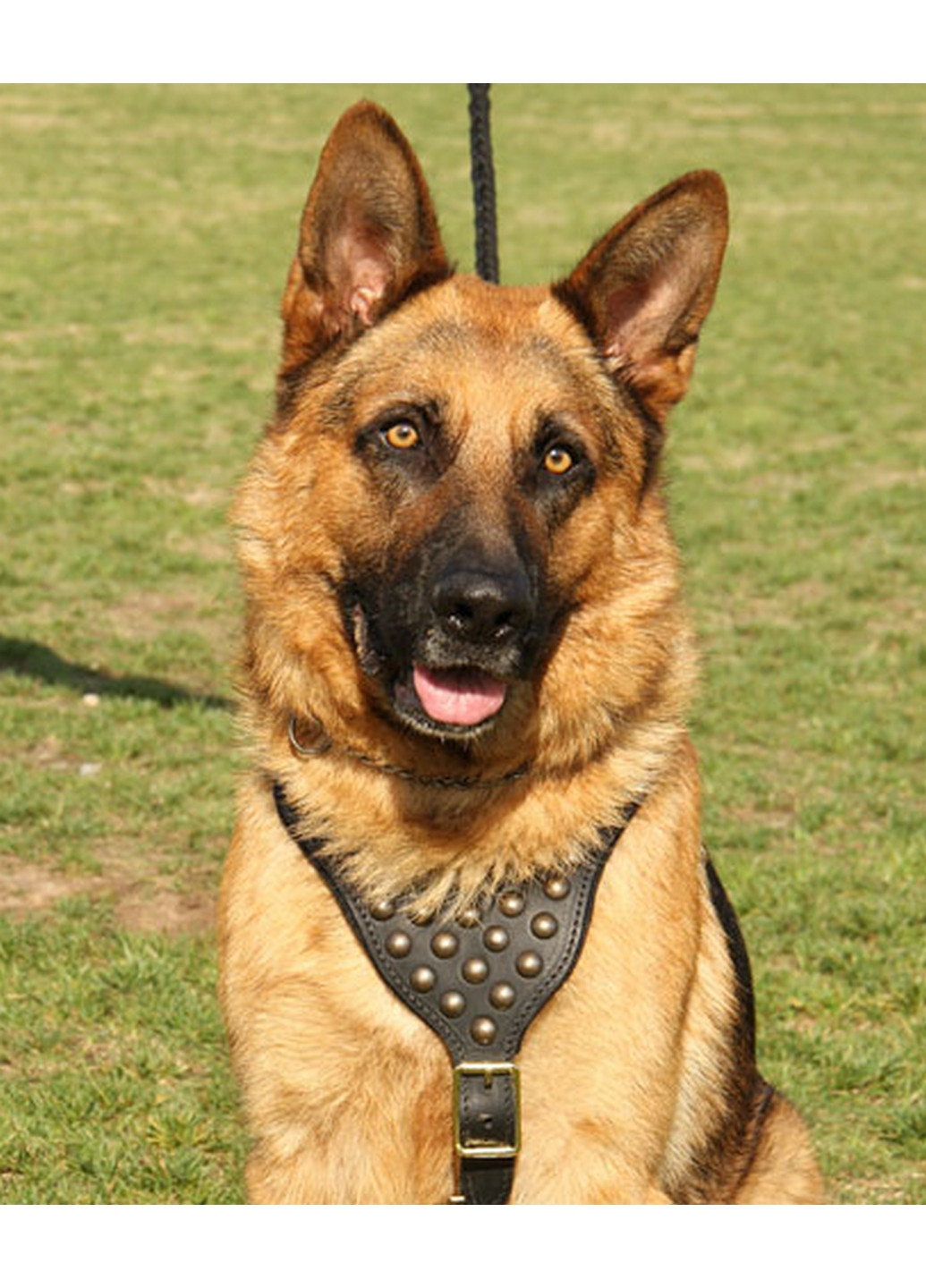 Шлейка прогулянкова із заклепками LeathART (276984021)