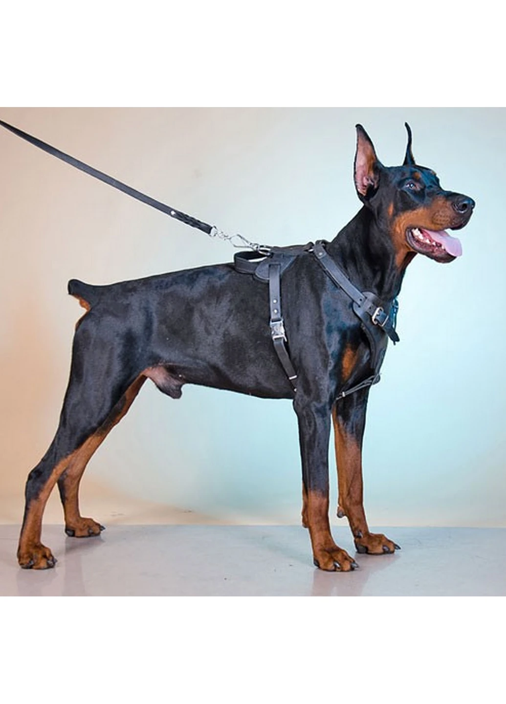 Шлейка для собаки Lockdog (276981002)