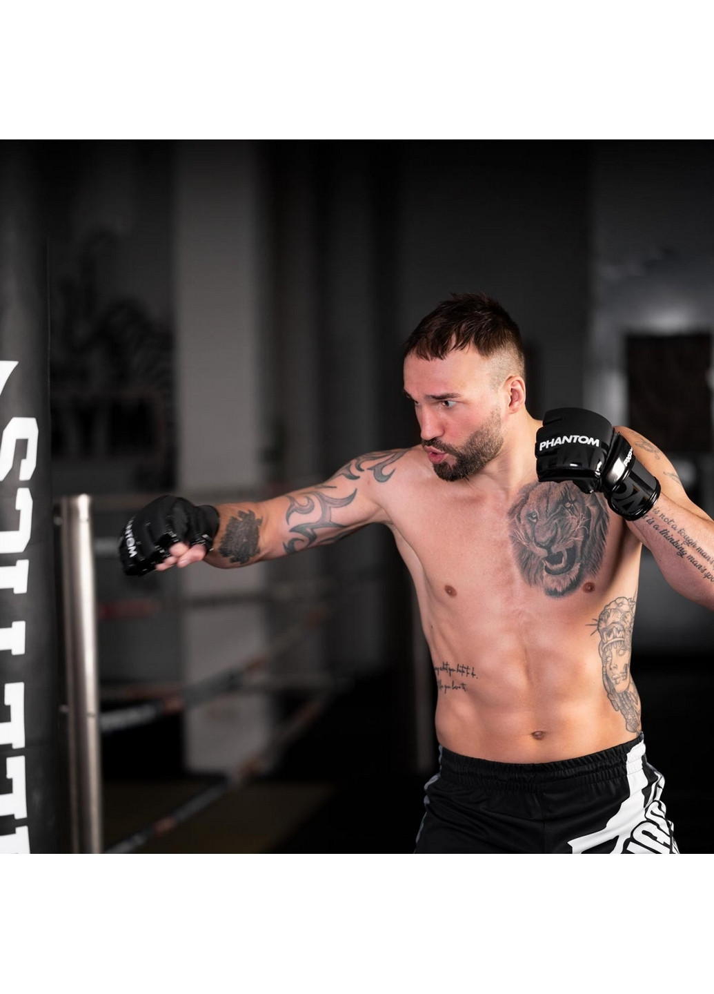 Перчатки для ММА APEX Hybrid Phantom (276983211)