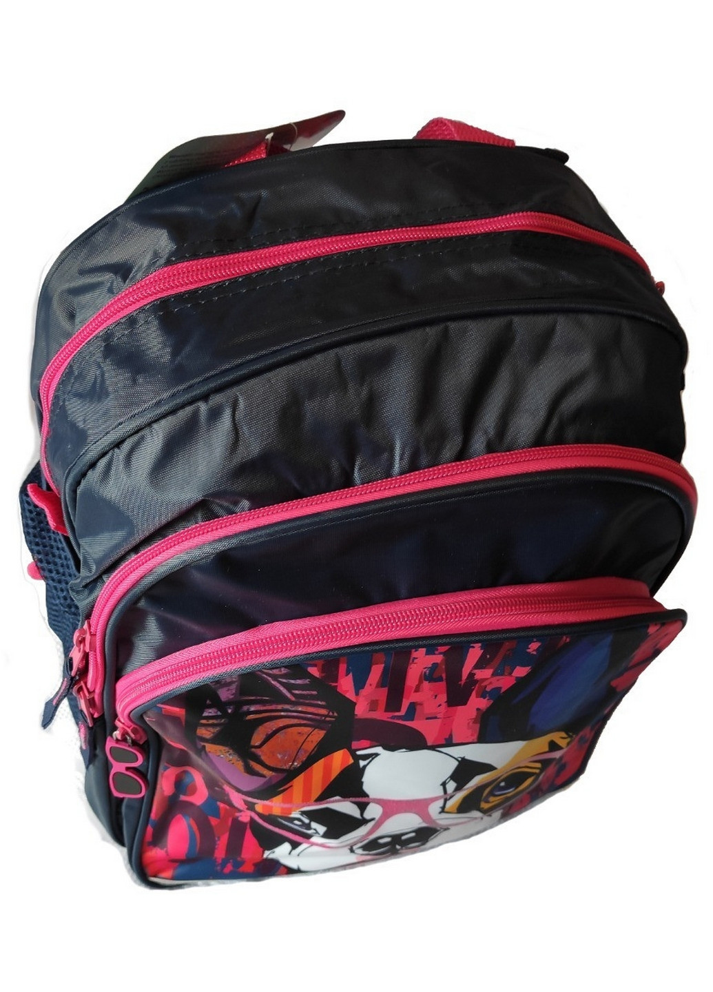 Рюкзака школьный для девочки Paso (276979841)