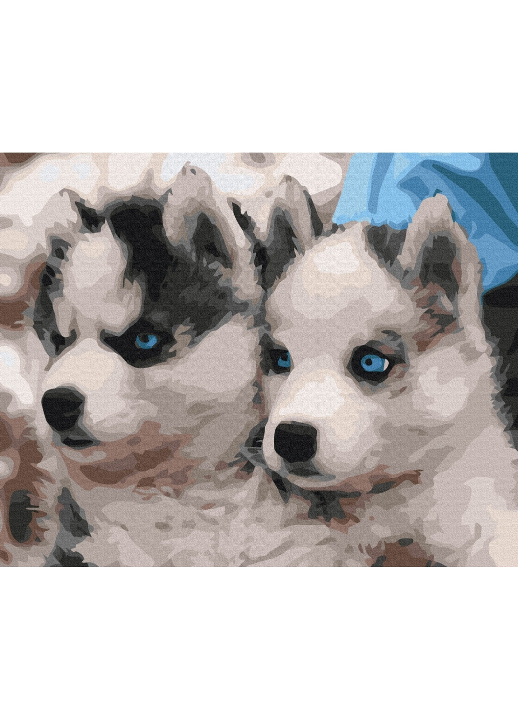 Картина по номерам Щенки хаски 40x50 см Brushme (277151959)