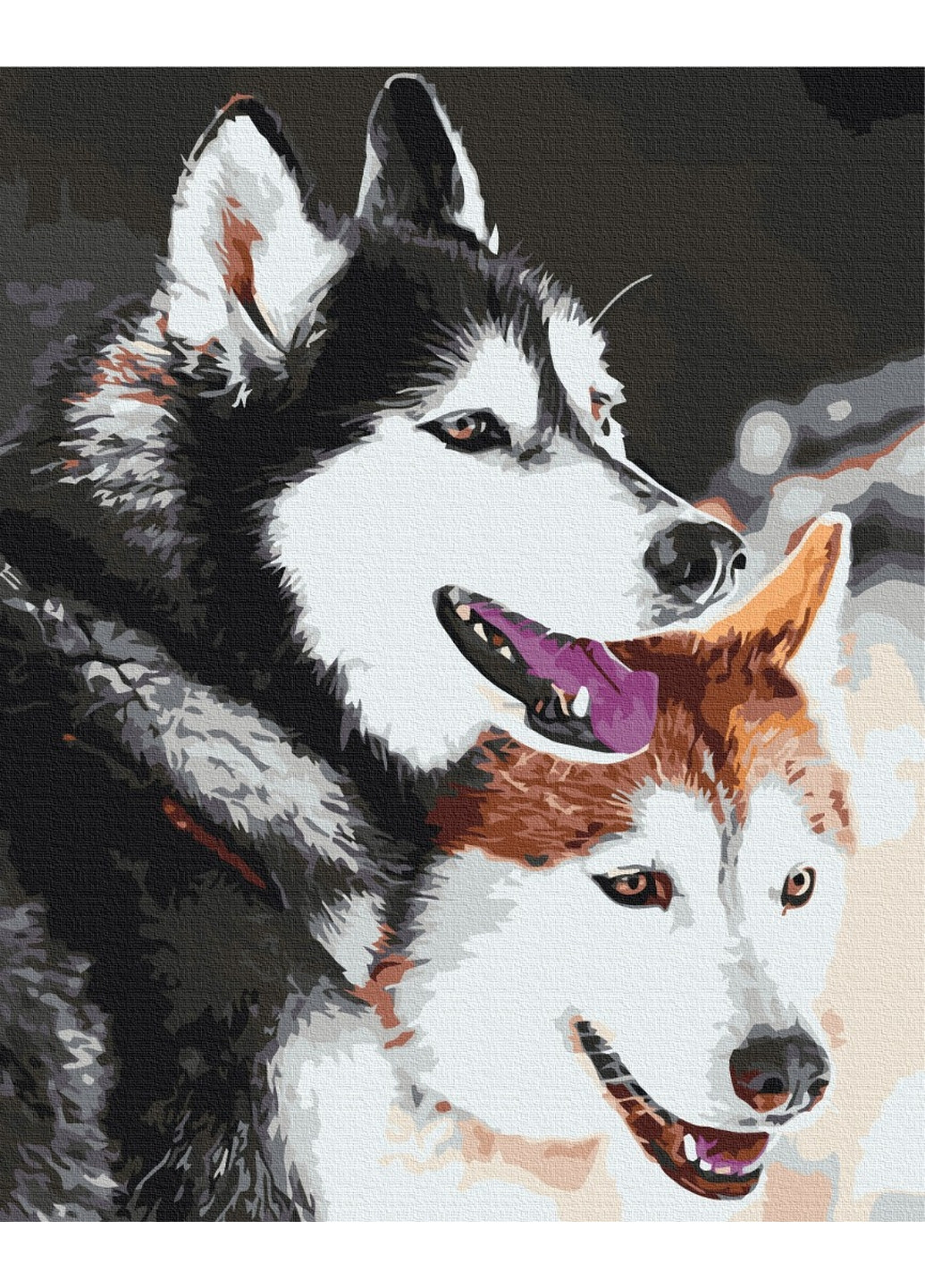 Картина по номерам Хаски 40x50 см Brushme (277152050)
