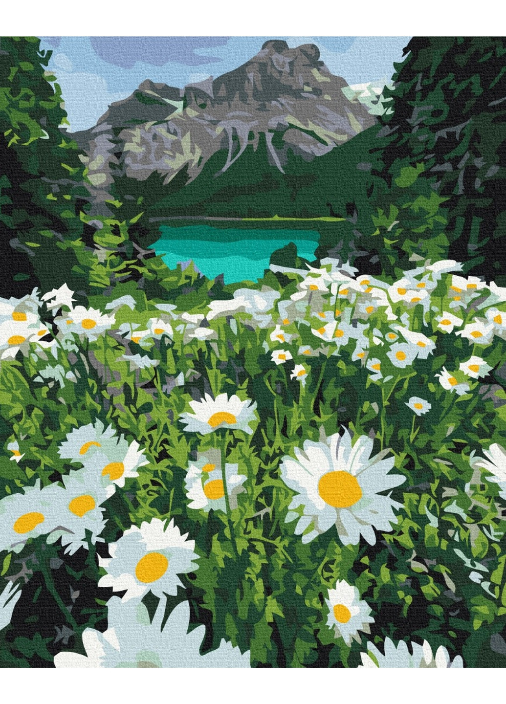 Картина за номерами "Ромашки біля гір" 40x50 см Brushme (277152120)