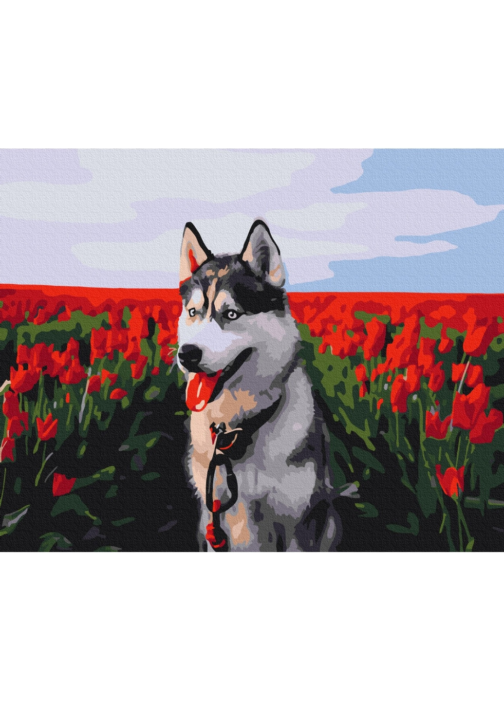 Картина за номерами "Хаски у тюльпановому полі" 40x50 см Brushme (277152045)