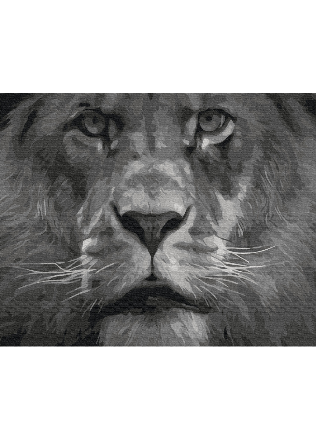 Картина за номерами "Лев у чорно-білих тонах" 40x50 см Brushme (277152612)